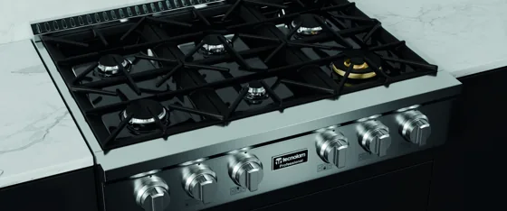 Parrilla Profesional de Gas GRT-366
