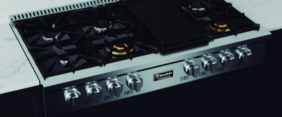 Parrilla Profesional de Gas GRT-488